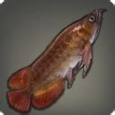 dragonfish ffxiv|ffxiv fish list.